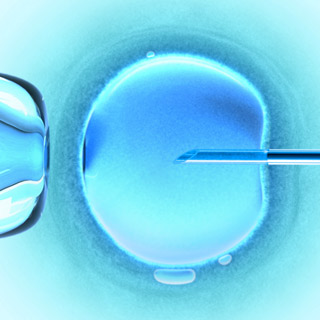 Допълнителни средства в размер на 5 млн.лв. ще получи Център "Фонд за асистирана репродукция"
